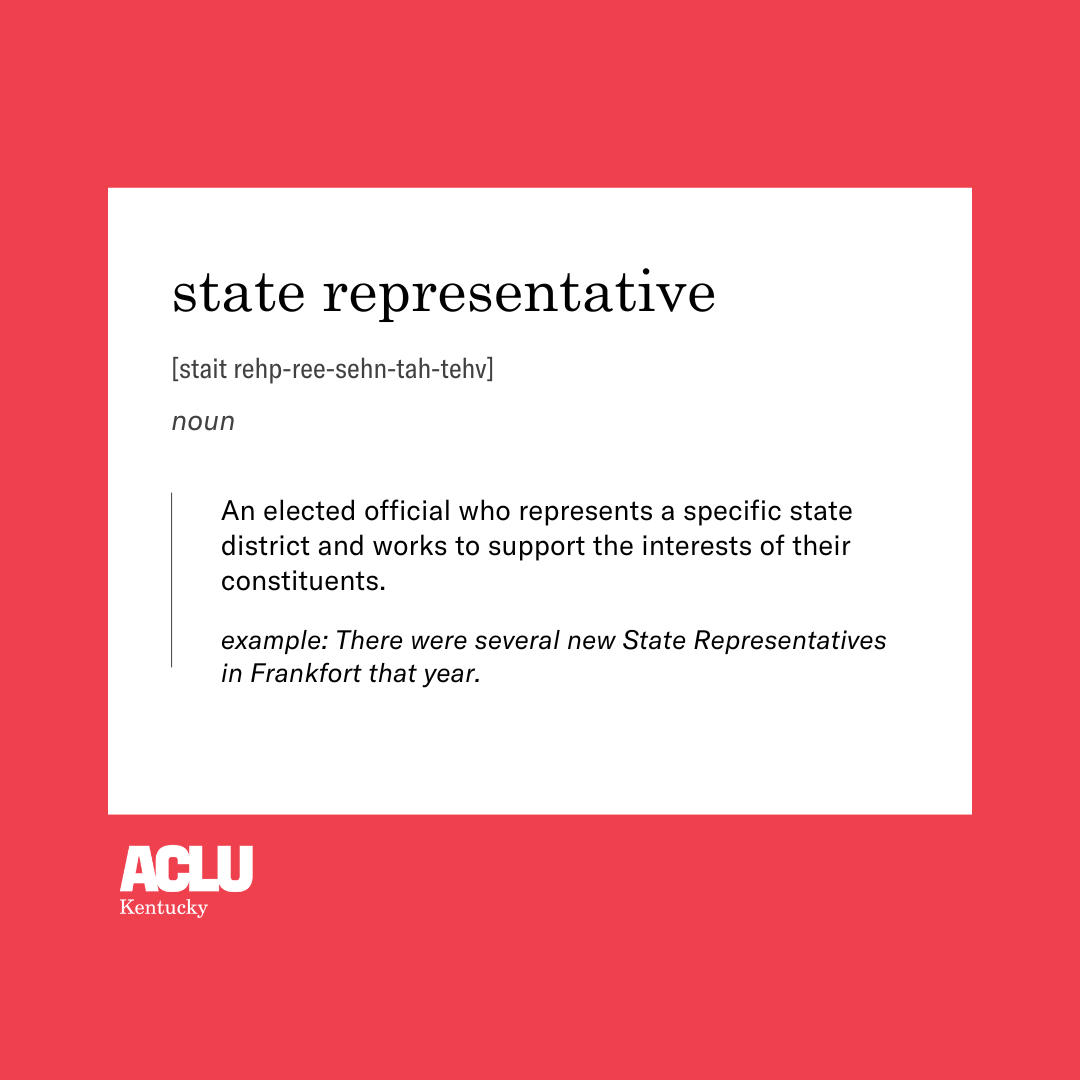 state representative definition