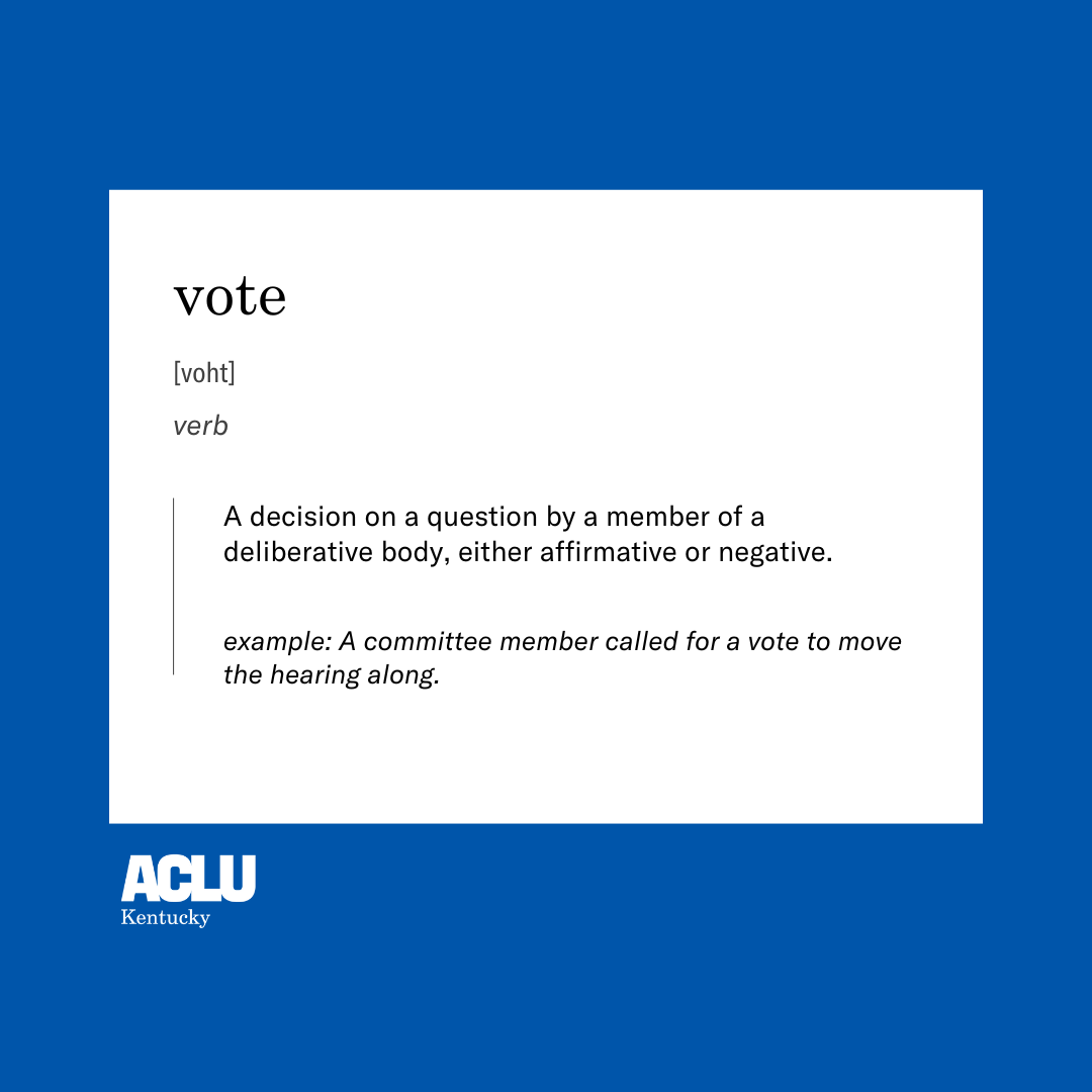 vote definition