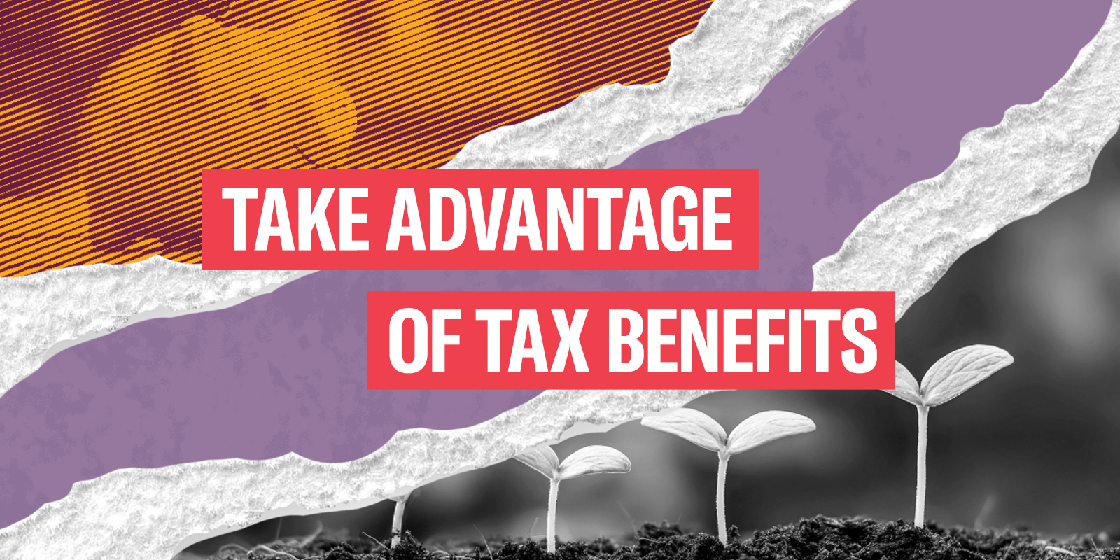 Take advantage of tax benefits